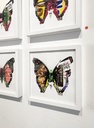 LUKE NEWTON - Butterfly #1