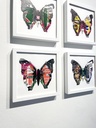 LUKE NEWTON - Butterfly #1