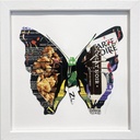 LUKE NEWTON - Butterfly #1